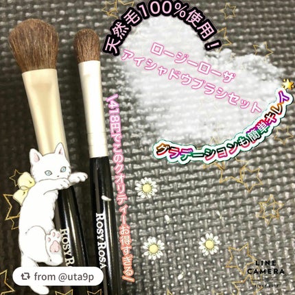 アイシャドウブラシセット/ロージーローザ/メイクブラシを使ったクチコミ(1枚目)