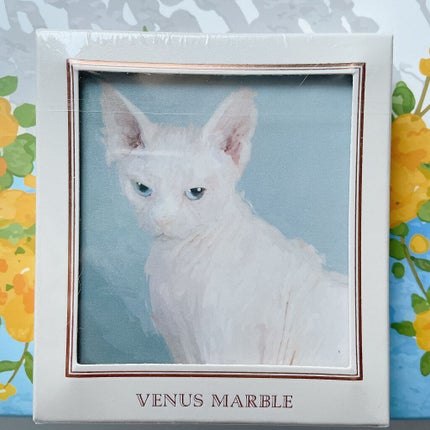 Venus Marble アイシャドウキャットシリーズ/Venus Marble/アイシャドウパレットを使ったクチコミ(1枚目)