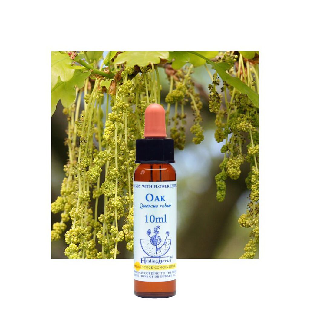 ヒーリングハーブフラワーエッセンス オーク