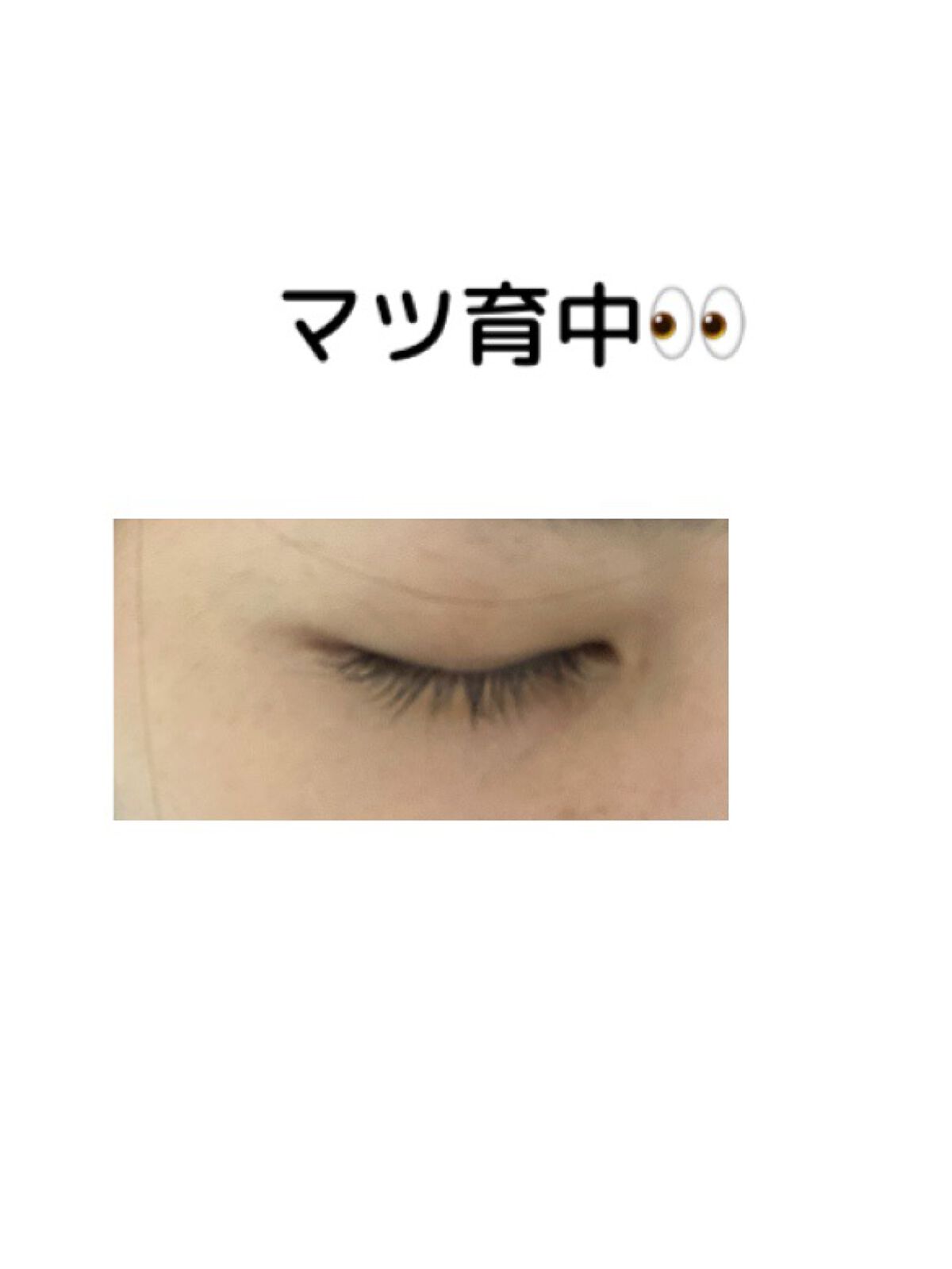 SCラッシュセラム /ACTIVART/まつげ美容液を使ったクチコミ(2枚目)