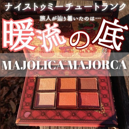ナイストゥミーチュートランク/MAJOLICA MAJORCA/アイシャドウパレットを使ったクチコミ(1枚目)