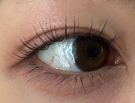 アイ カラー クォード/TOM FORD BEAUTY/アイシャドウパレットを使ったクチコミ(6枚目)