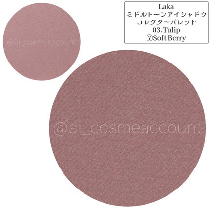 ミドルトーンアイシャドウコレクターパレット/Laka/アイシャドウパレットを使ったクチコミ(8枚目)
