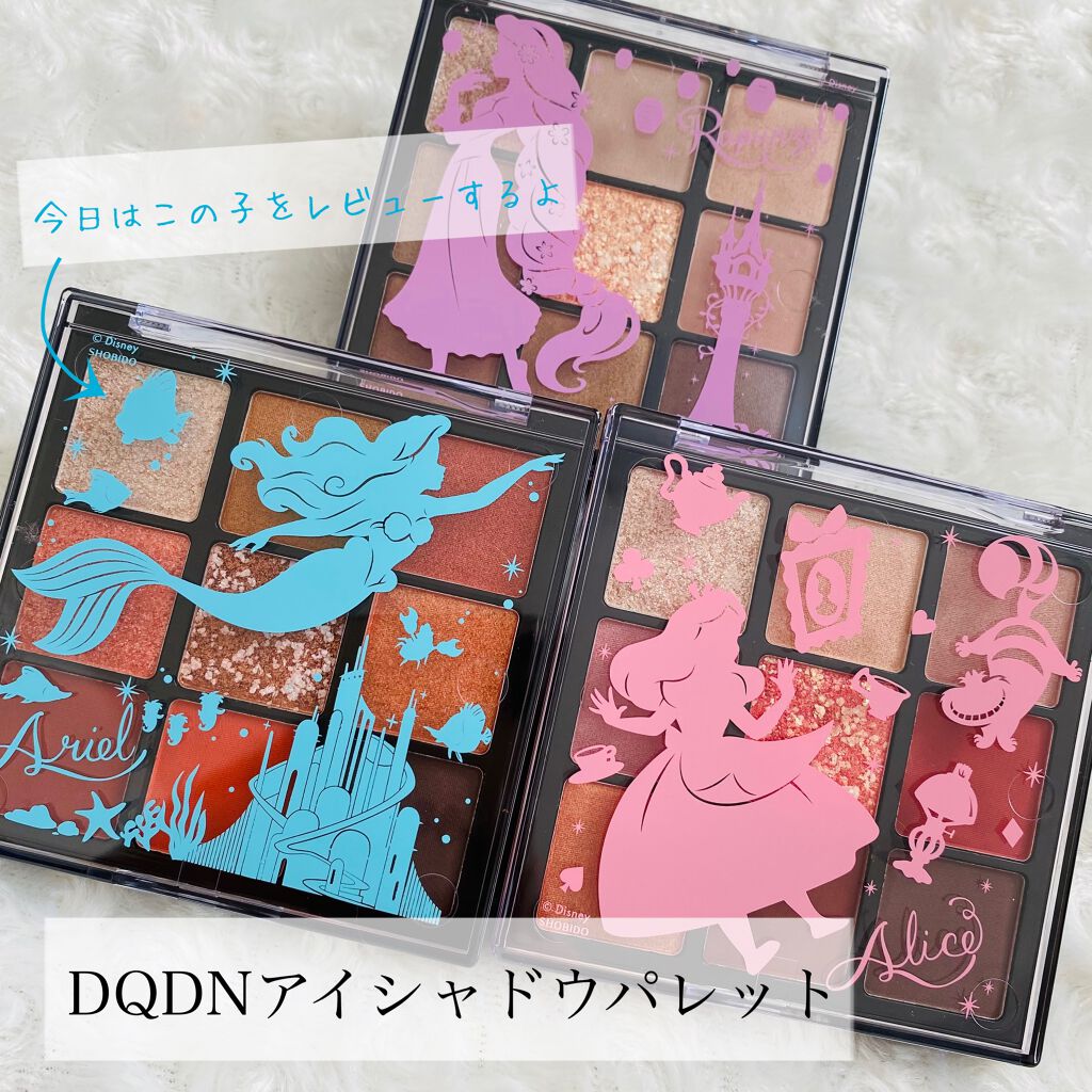 DQDNアイシャドウパレット AR/SHOBIDO/アイシャドウパレットを使ったクチコミ(1枚目)