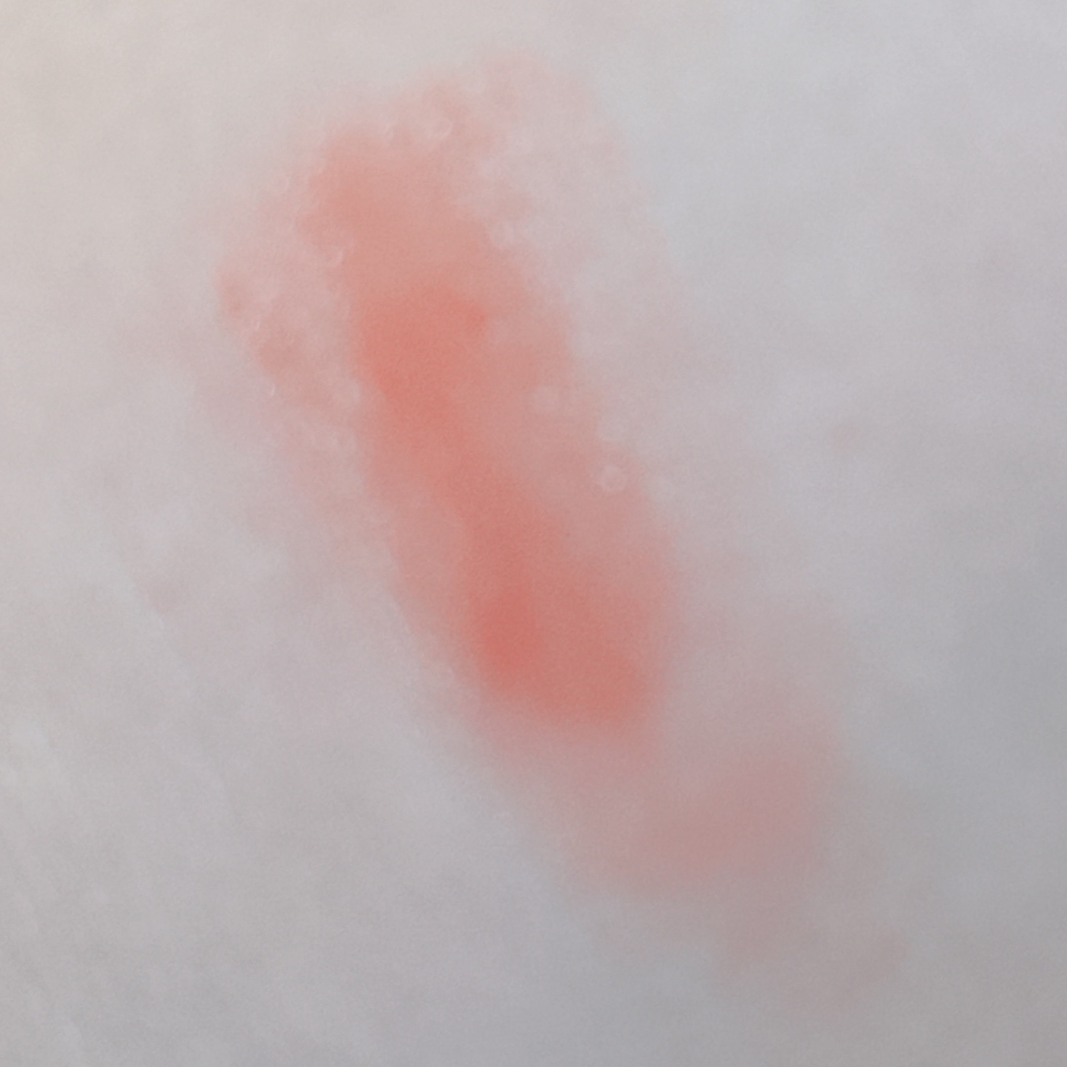 つやぷるリップR/b idol/口紅を使ったクチコミ（3枚目）