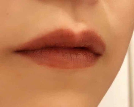 コンスピキュアス ブラッシュリップス/Amplitude/口紅を使ったクチコミ(4枚目)