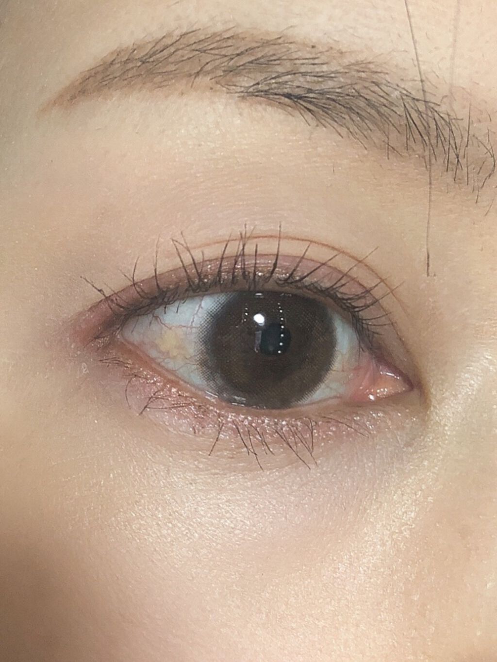 3Dプロデュースシャドウ/KATE/アイシャドウパレットを使ったクチコミ（2枚目）