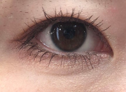 デザイニング カラー アイズ/SUQQU/アイシャドウパレットを使ったクチコミ(2枚目)