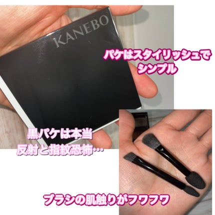 レイヤードカラーズアイシャドウ/KANEBO/アイシャドウパレットを使ったクチコミ(6枚目)