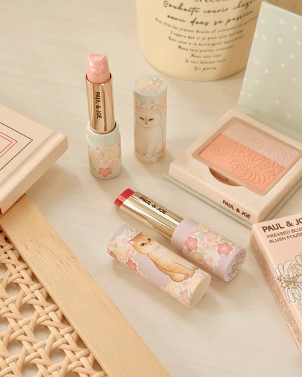 リップスティック ケース CS/PAUL & JOE BEAUTE/その他化粧小物を使ったクチコミ(4枚目)