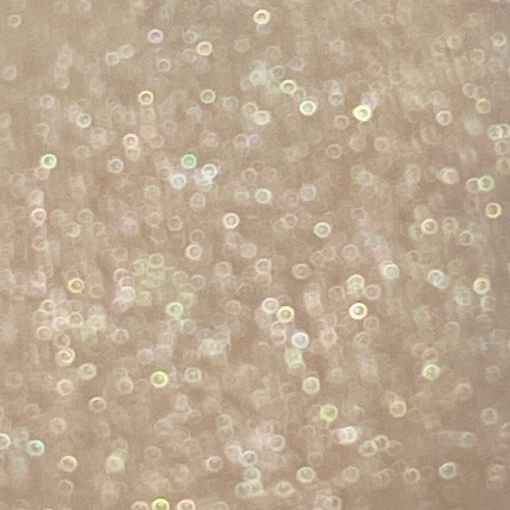 ペルル ドゥ ルミエール /CHANEL/パウダーハイライトを使ったクチコミ(7枚目)