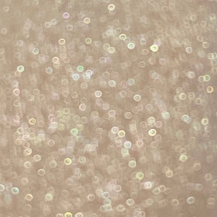 ペルル ドゥ ルミエール /CHANEL/パウダーハイライトを使ったクチコミ(7枚目)