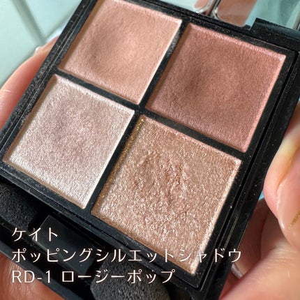 ケイト ポッピングシルエットシャドウ/KATE/アイシャドウパレットを使ったクチコミ(2枚目)