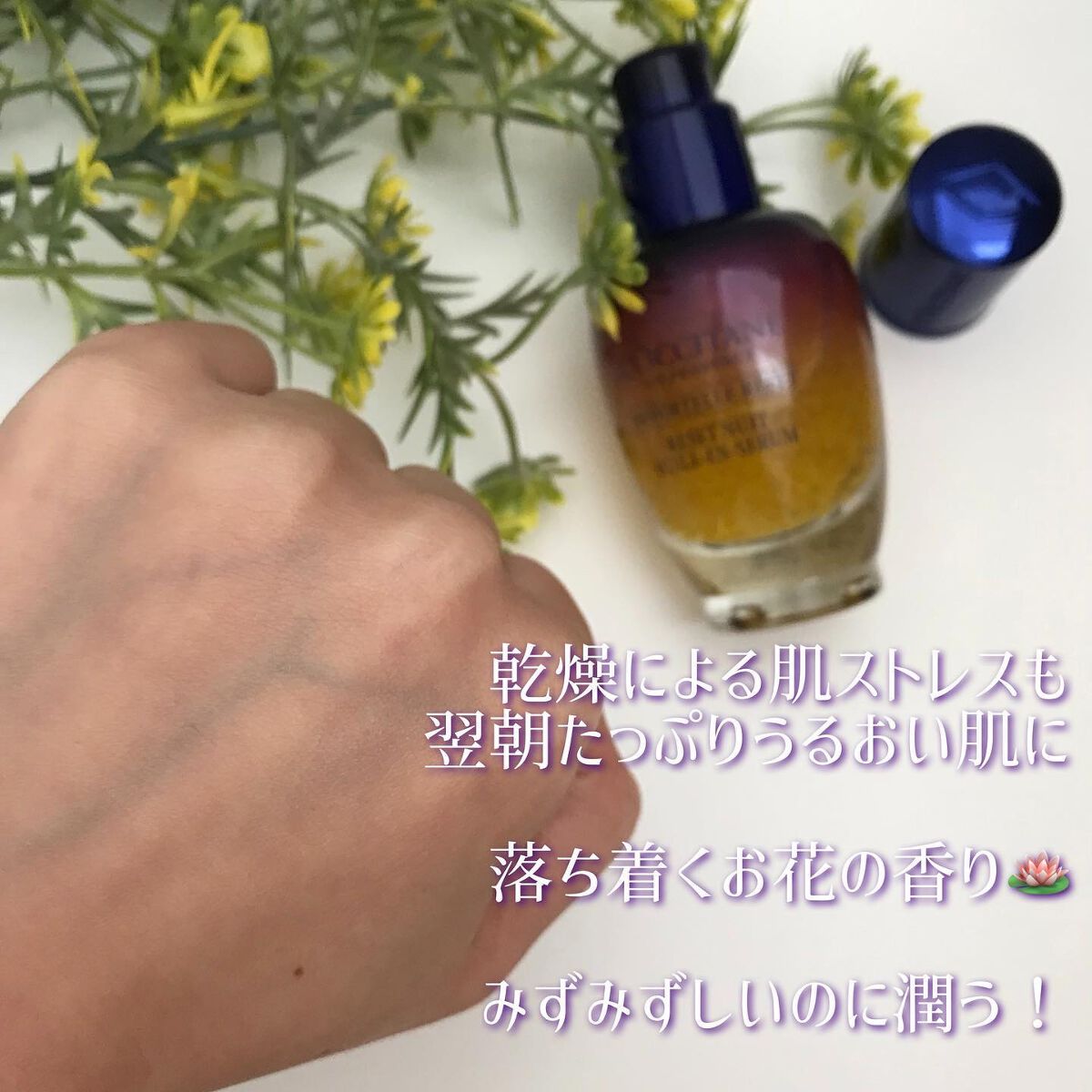 イモーテル オーバーナイトリセットセラム/L'OCCITANE/美容液を使ったクチコミ(4枚目)