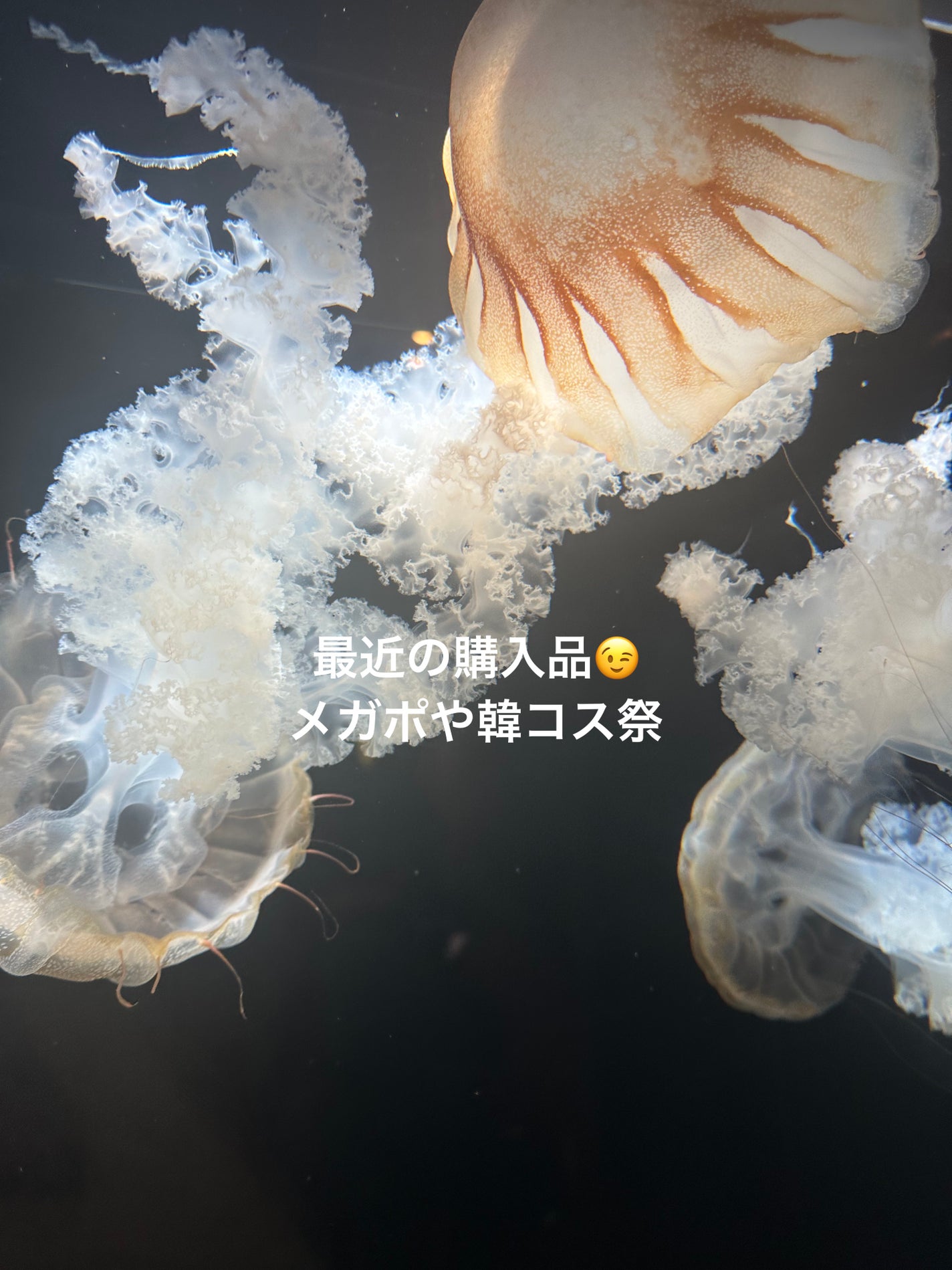 TOPARDS 1day/TOPARDS/ワンデー(1DAY)カラコンを使ったクチコミ(1枚目)