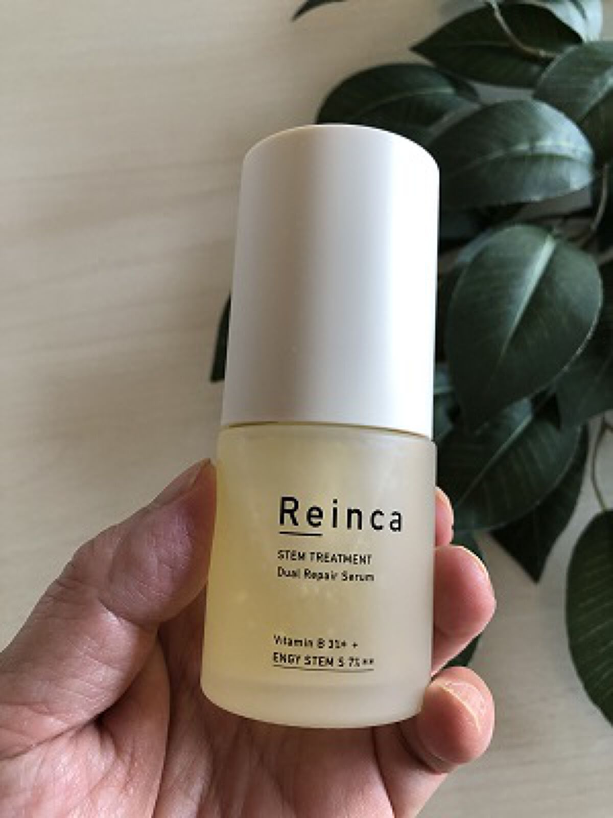 2025冬新作】Reinca(レインカ)新発売コスメ！発売日や価格は？新作&新