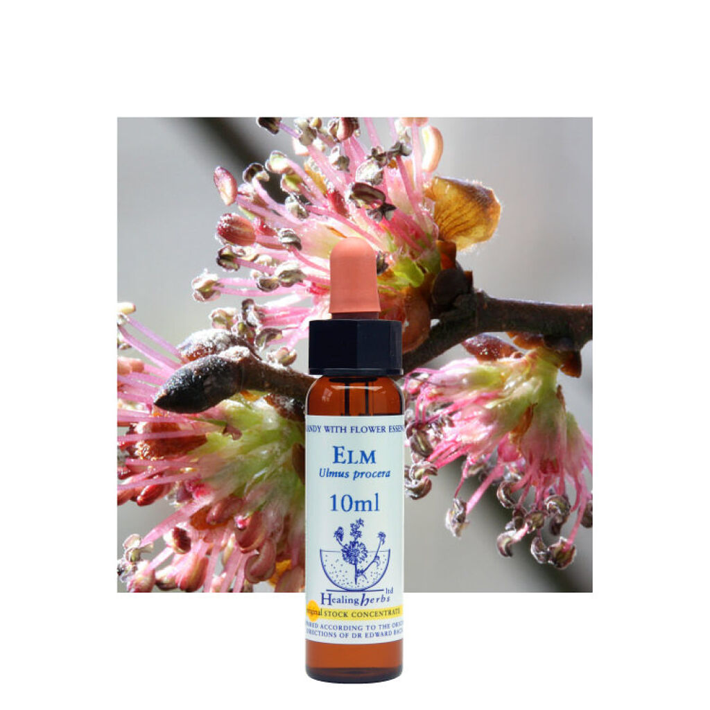 ヒーリングハーブフラワーエッセンス エルム