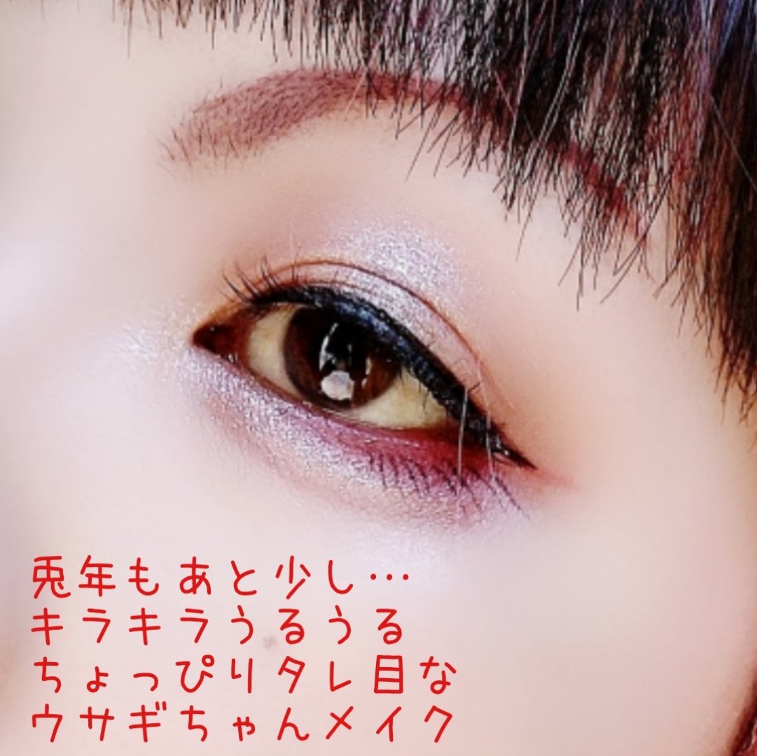 エクスプローラ12色 動物アイシャドウパレット/PERFECT DIARY/アイシャドウパレットを使ったクチコミ（2枚目）