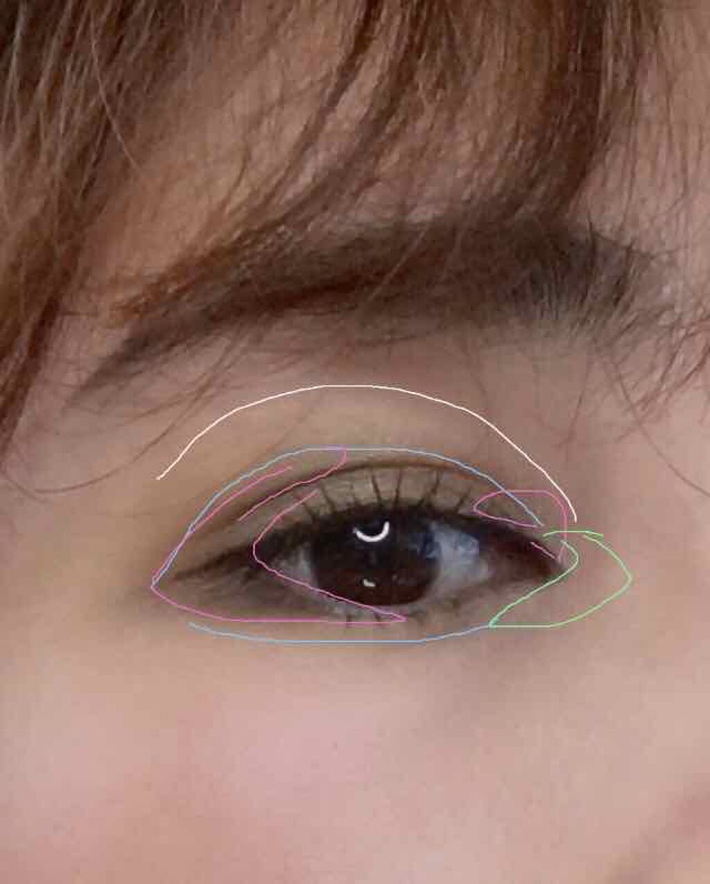 エクスプローラ12色 動物アイシャドウパレット/PERFECT DIARY/アイシャドウパレットを使ったクチコミ（2枚目）