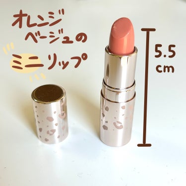 Visée ミニバーム リップスティック　

BE310 ピンクベージュ


約5.5cm！
持ち運びしやすいミニバームです＾＾

色味はピンクベージュと書かれていますが、かなりオレンジ寄り😌

誰でも