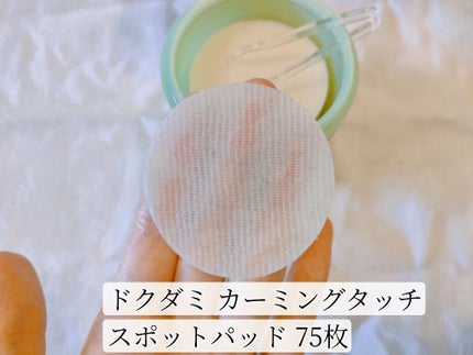 ドクダミカーミングタッチスポットパッド/Abib /トナーパッドを使ったクチコミ(6枚目)