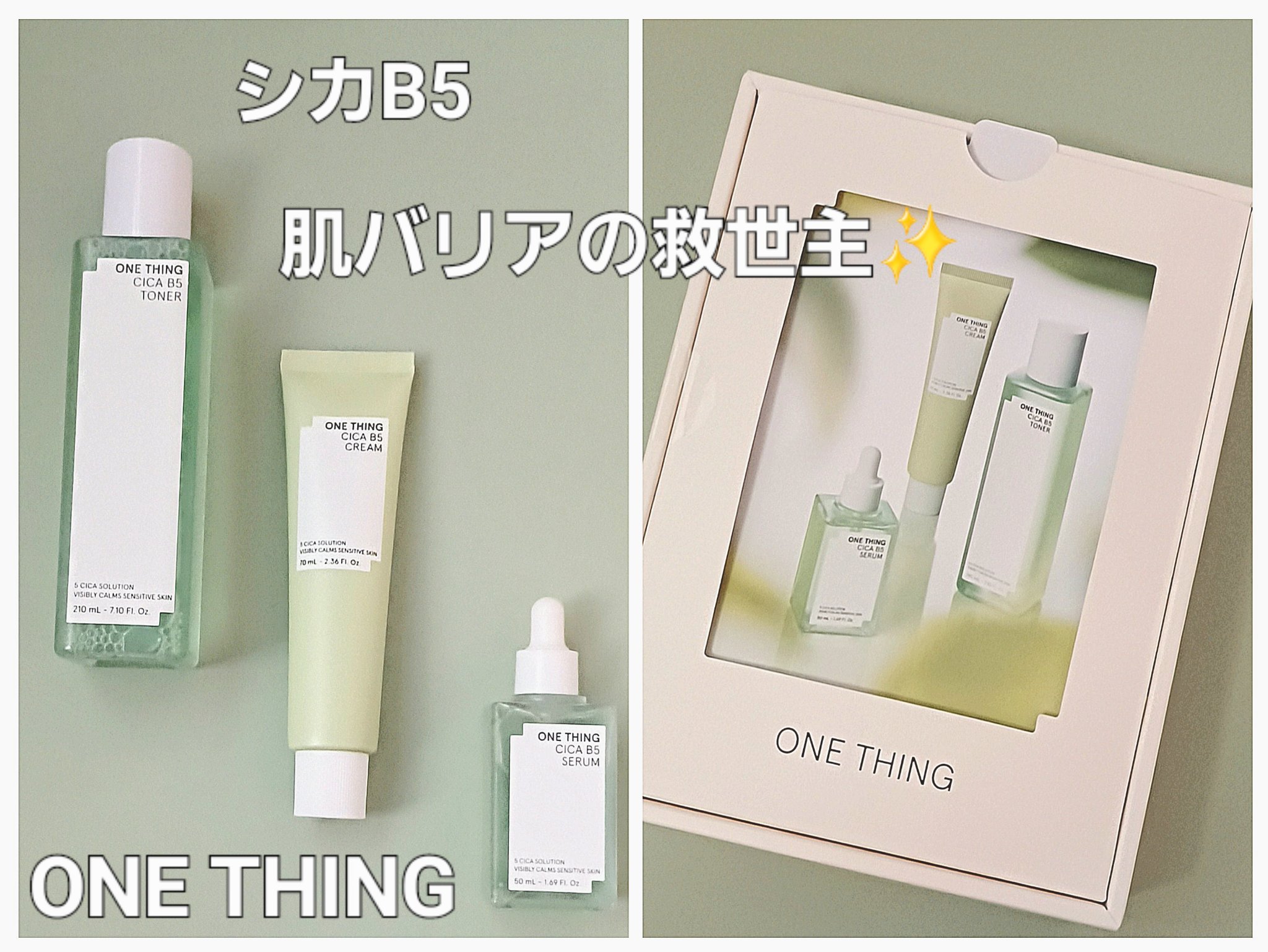 試してみた】シカB5 クリーム ONE THINGの効果・肌質別の口コミ