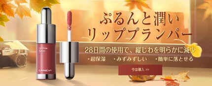 リキッドファンデーション 03/CARSLAN/リキッドファンデーションの画像