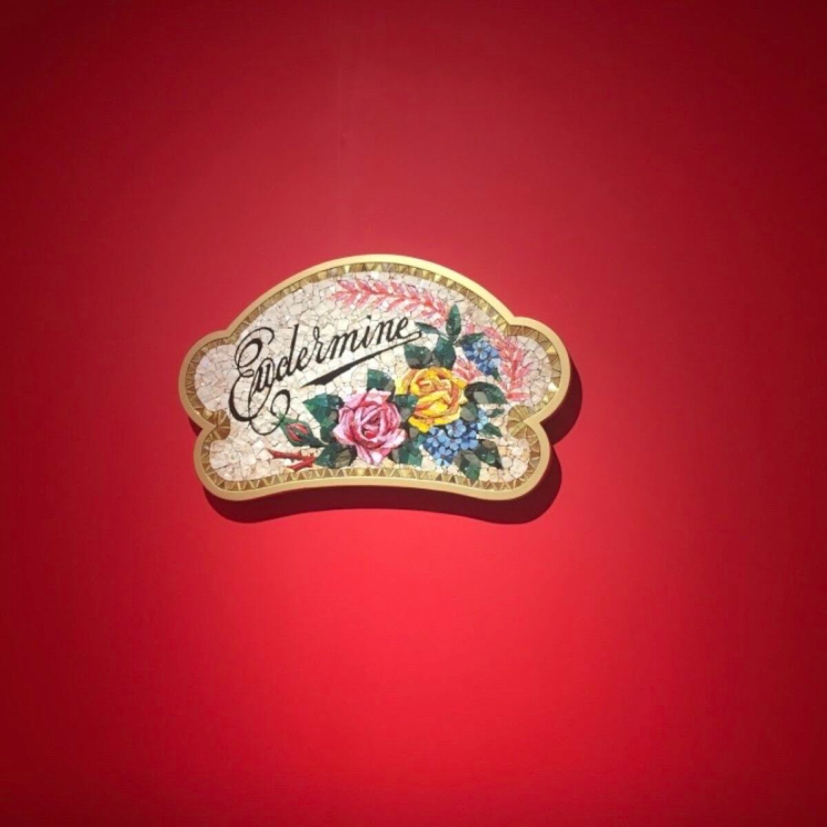 オイデルミン エッセンスローション/SHISEIDO/化粧水を使ったクチコミ(6枚目)