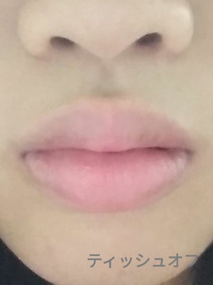 ピュアリップカラー /パラドゥ/口紅を使ったクチコミ(6枚目)