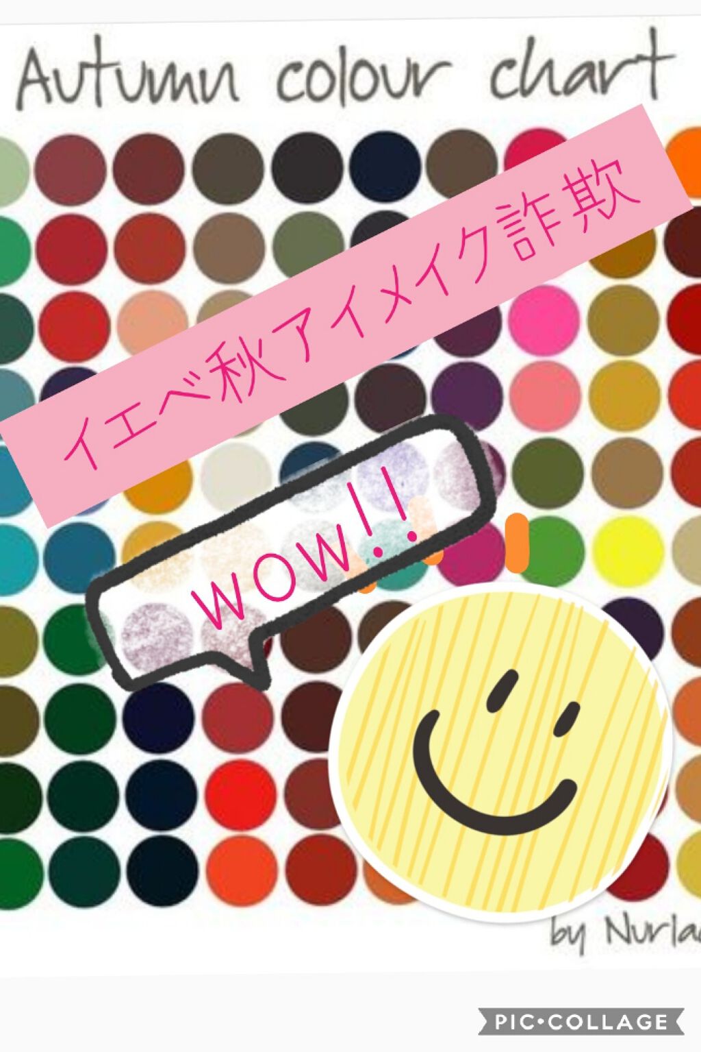 パーフェクトマルチアイズ/キャンメイク/アイシャドウパレットを使ったクチコミ（1枚目）