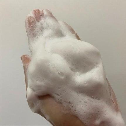 モイストマイルドウォッシュ/Nitta Biolab(ニッタバイオラボ)/洗顔フォームを使ったクチコミ(5枚目)