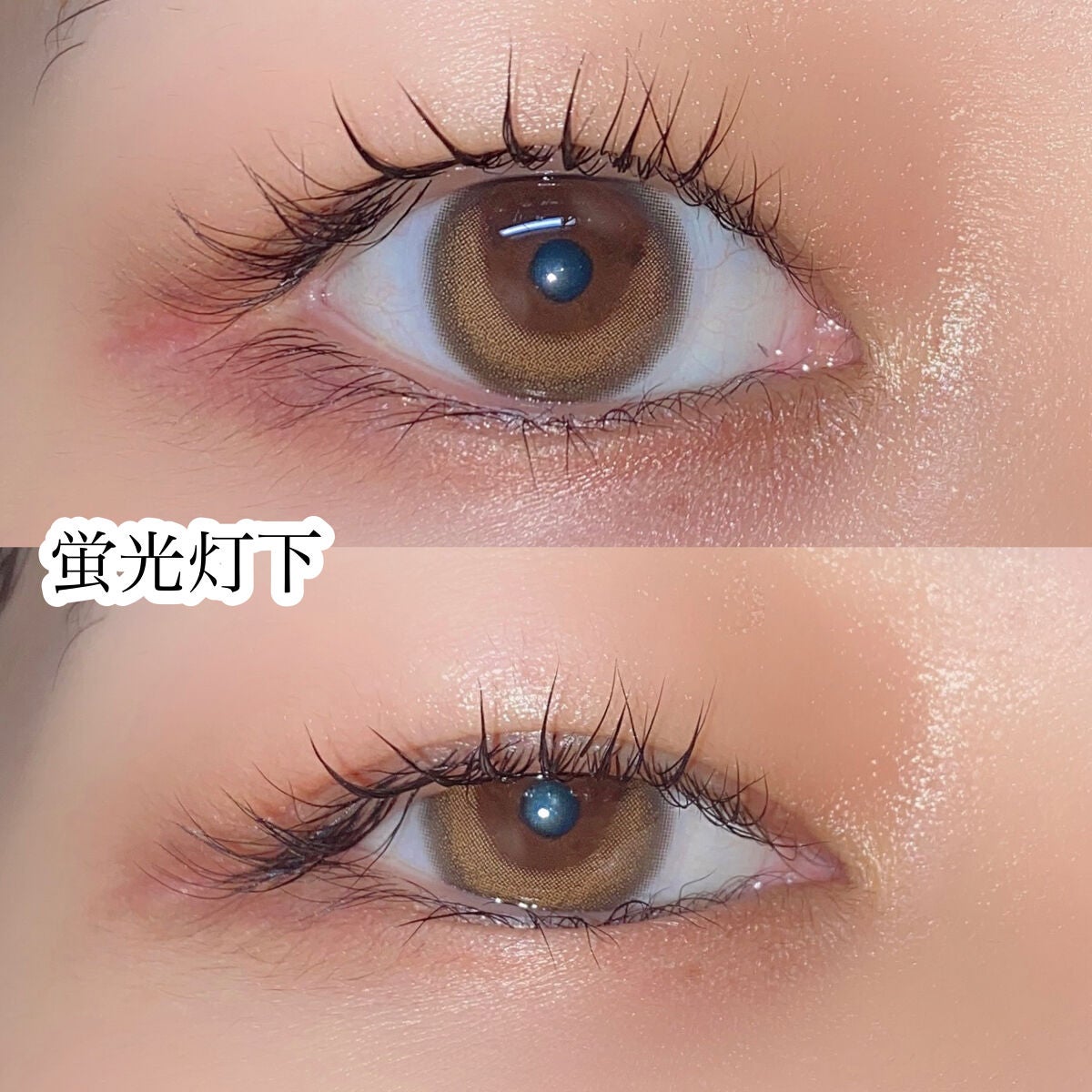 Rose Moon/レンズベリー/カラーコンタクトレンズを使ったクチコミ(7枚目)