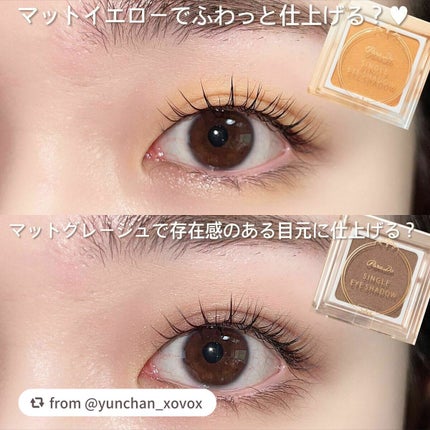 パラドゥ シングルアイシャドウ /パラドゥ/単色アイシャドウを使ったクチコミ(9枚目)