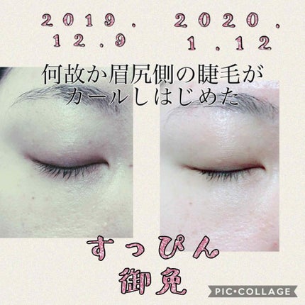 ラッシュジェリードロップ EX/MAJOLICA MAJORCA/まつげ美容液を使ったクチコミ(2枚目)