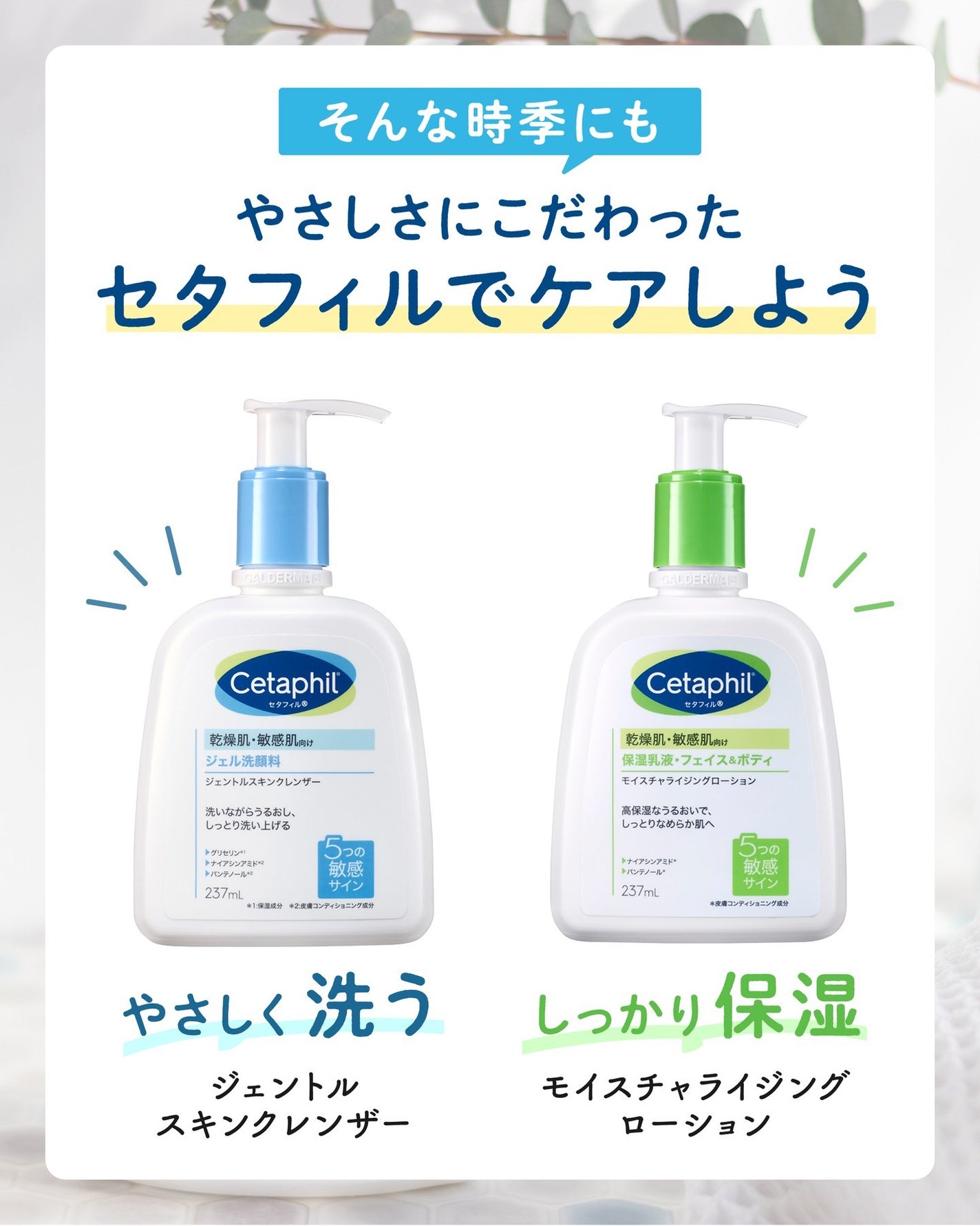 【公式】セタフィル on LIPS 「LIPSのみなさん、こんにちは😊意外と肌トラブルが多い春🌸実は..」(3枚目)