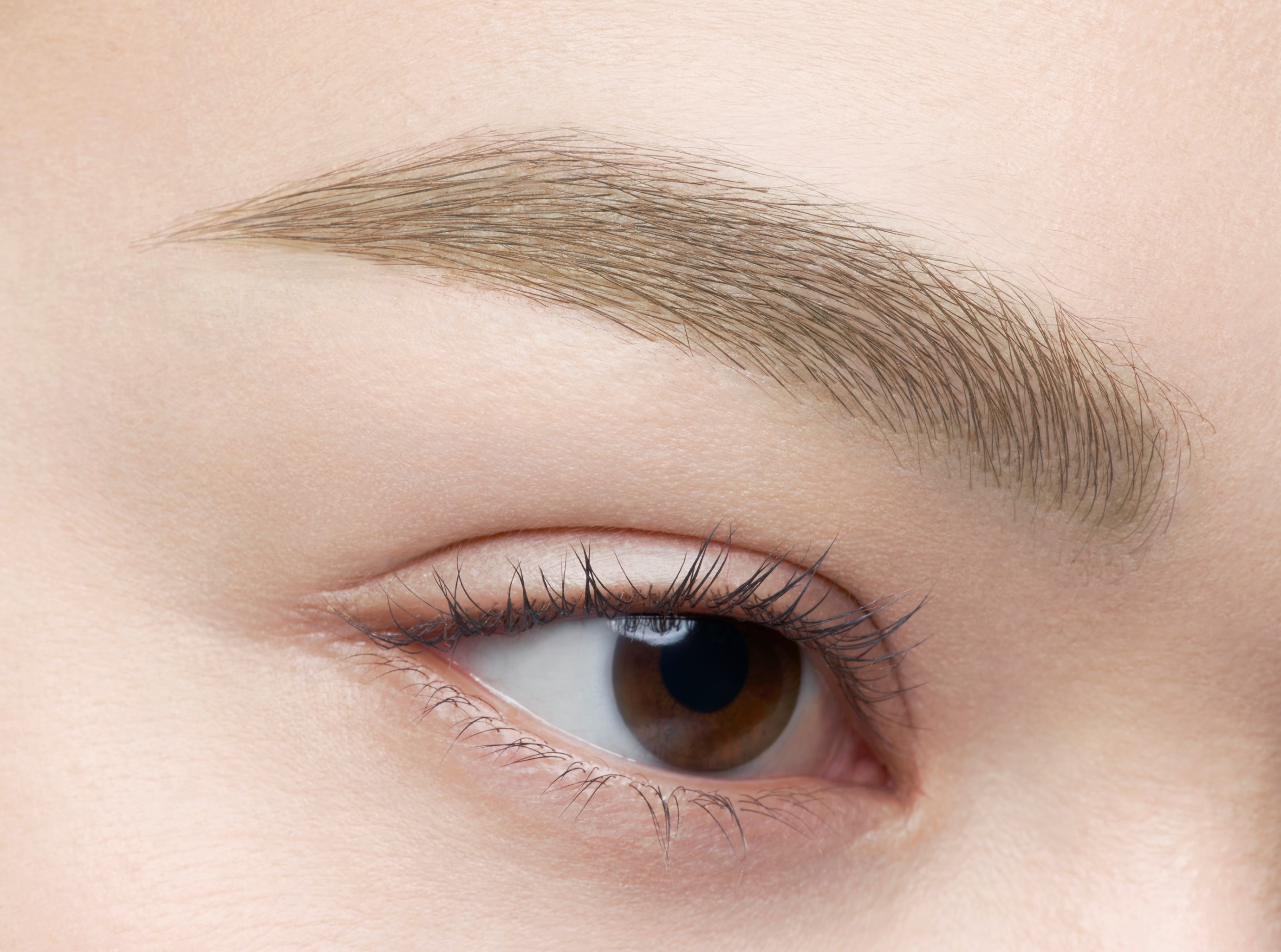 ケイト 3DアイブロウカラーZ BR-6 オリーブブラウン