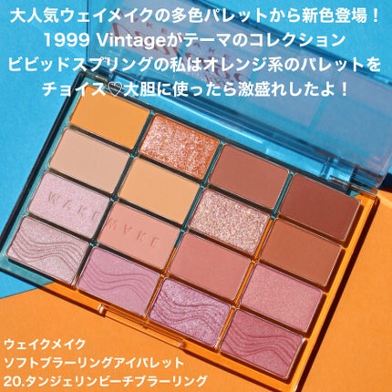 ソフトブラーリングアイパレット/wakemake/アイシャドウパレットを使ったクチコミ(2枚目)