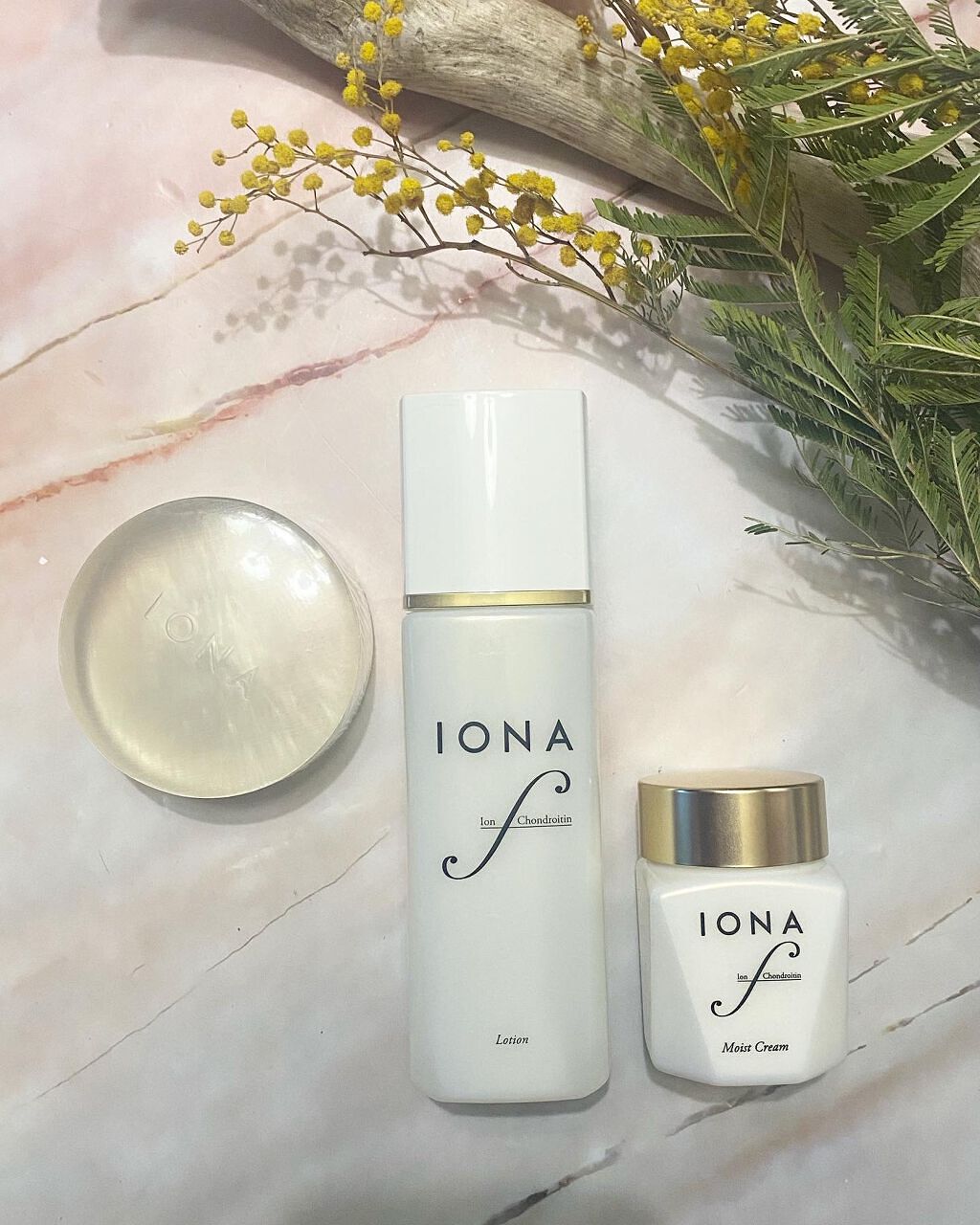 モイスト クリーム/イオナ エフ/フェイスクリームを使ったクチコミ(1枚目)