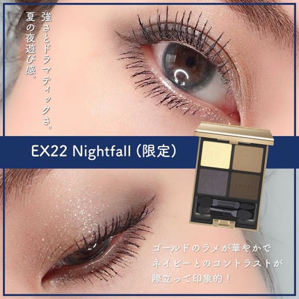 アイカラーレーション EX22 Nightfall(限定発売) / LUNASOL アイカラーレーション EX22 Nightfall(限定発売) / LUNASOL