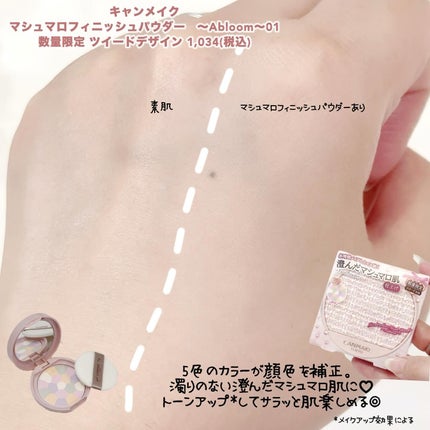 マシュマロフィニッシュパウダー ~Abloom~/キャンメイク/プレストパウダーを使ったクチコミ(4枚目)