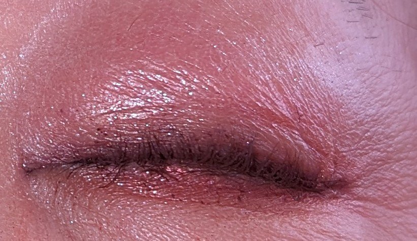 ジェル アイライナー PL20 パープル系/ちふれ/ジェルアイライナーを使ったクチコミ（3枚目）