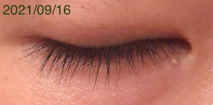 EMAKED(エマーキット)/水橋保寿堂製薬/まつげ美容液を使ったクチコミ(4枚目)