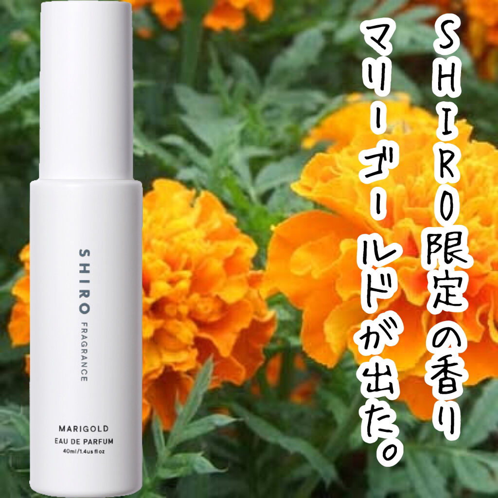 試してみた】SHIRO マリーゴールド オードパルファンのリアルな口コミ