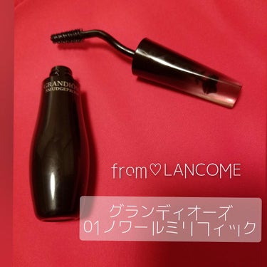 グランディオーズ/LANCOME/マスカラを使ったクチコミ（2枚目）