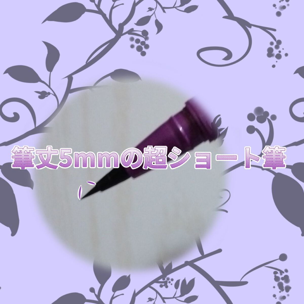 「密着アイライナー」ショート筆リキッド/デジャヴュ/リキッドアイライナーを使ったクチコミ（2枚目）