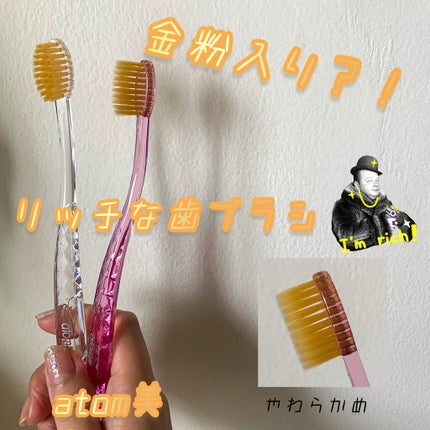 アトミ歯ミガキ/atom美/歯磨き粉を使ったクチコミ(1枚目)