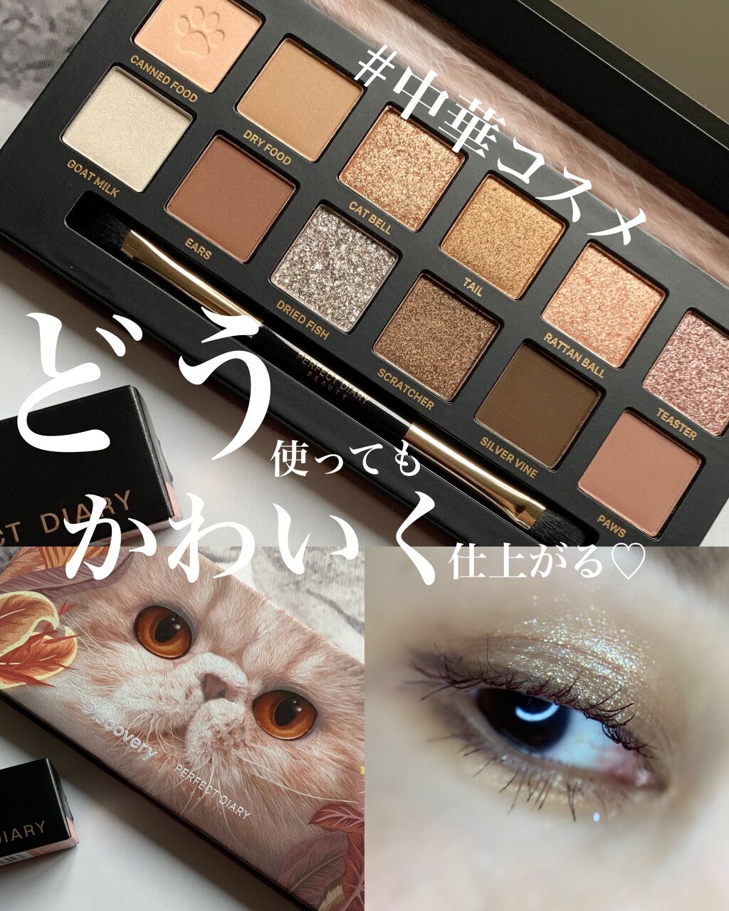 エクスプローラ12色 動物アイシャドウパレット/PERFECT DIARY/アイシャドウパレットを使ったクチコミ(1枚目)