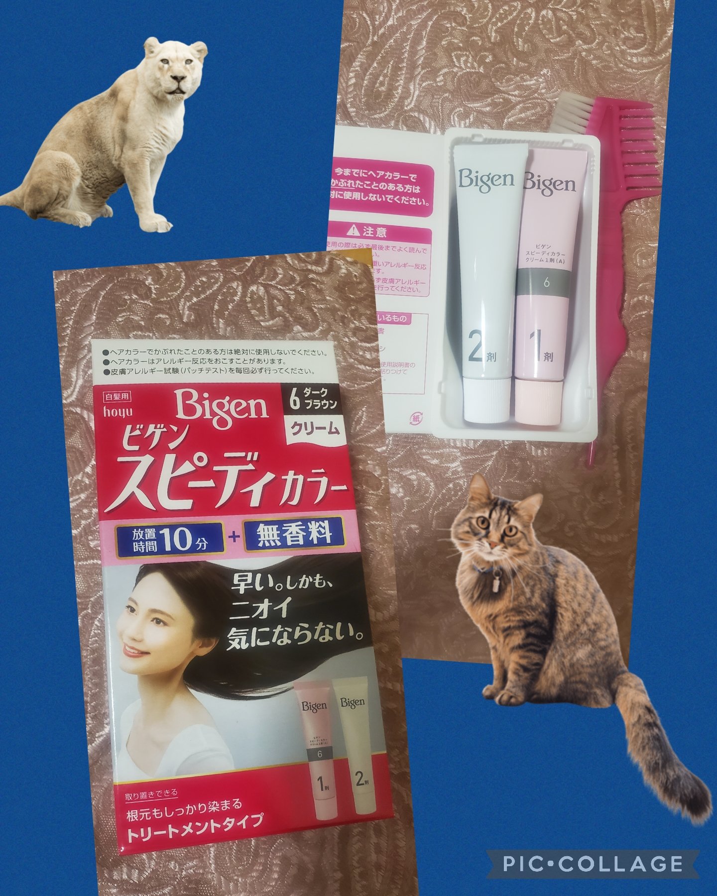 スピーディカラークリーム/ビゲン/ヘアカラーを使ったクチコミ（2枚目）