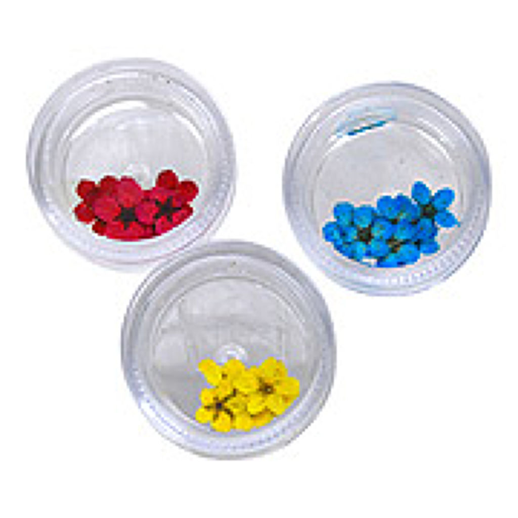 デュカート ドライフラワー