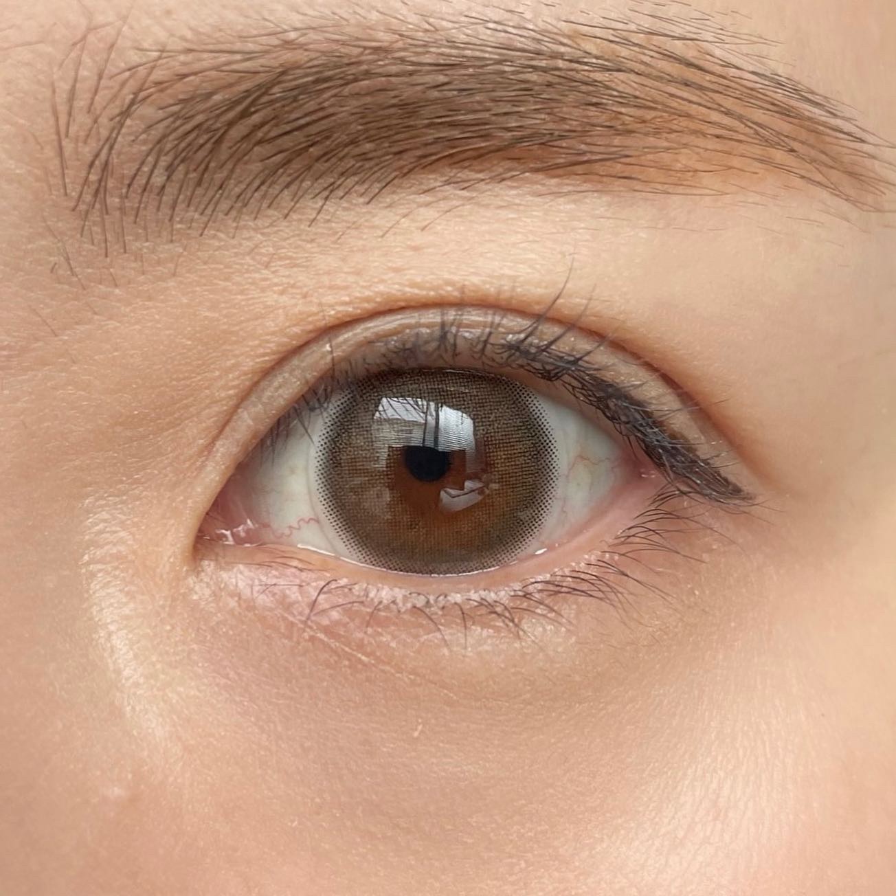 フェイヴ シリーズ/LENSSIS/カラーコンタクトレンズを使ったクチコミ（3枚目）